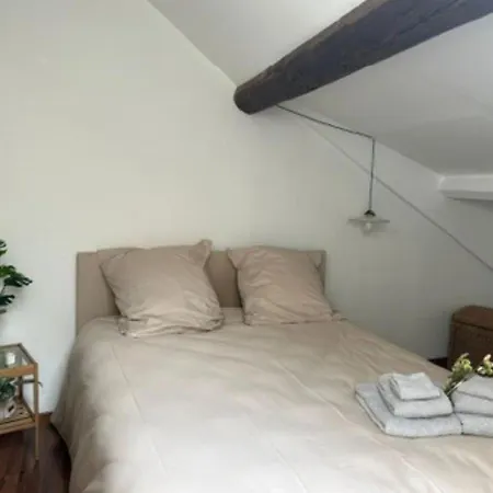 Le Fleuri - - Wifi Gratuit - Quartier Calme