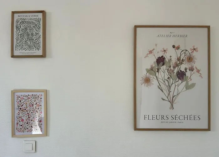 Le Fleuri - - Wifi Gratuit - Quartier Calme * رانس