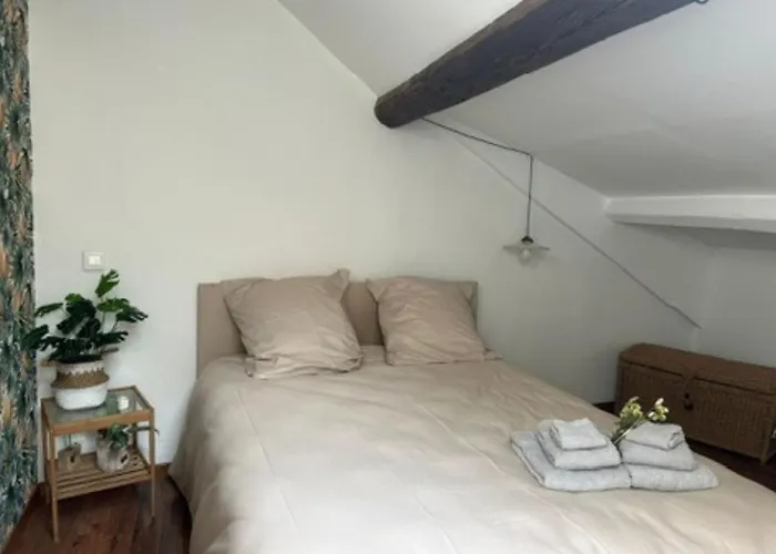 Le Fleuri - - Wifi Gratuit - Quartier Calme