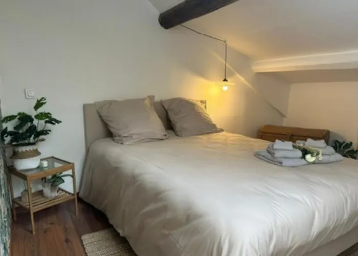 דירה Le Fleuri - - Wifi Gratuit - Quartier Calme