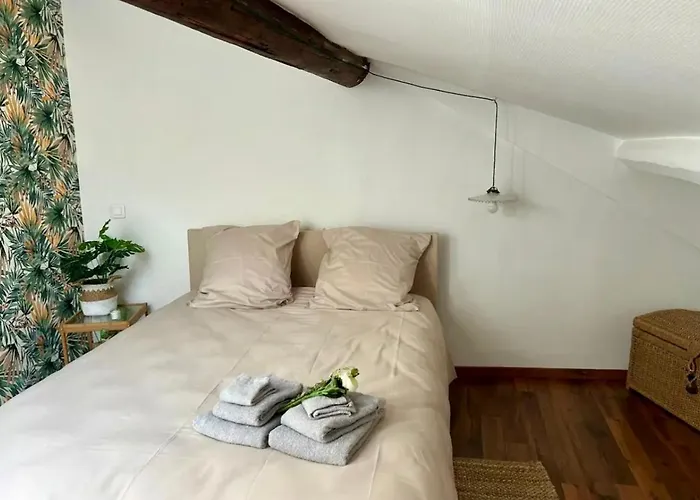 דירה Le Fleuri - - Wifi Gratuit - Quartier Calme *