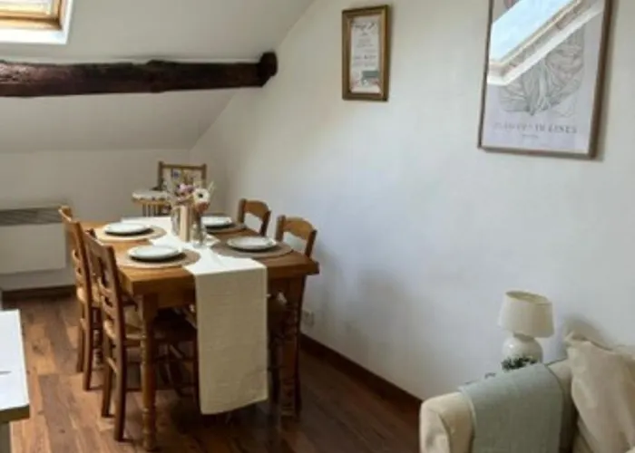 Le Fleuri - - Wifi Gratuit - Quartier Calme ריימס