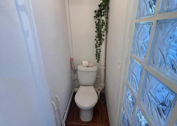 Le Fleuri - - Wifi Gratuit - Quartier Calme شقة